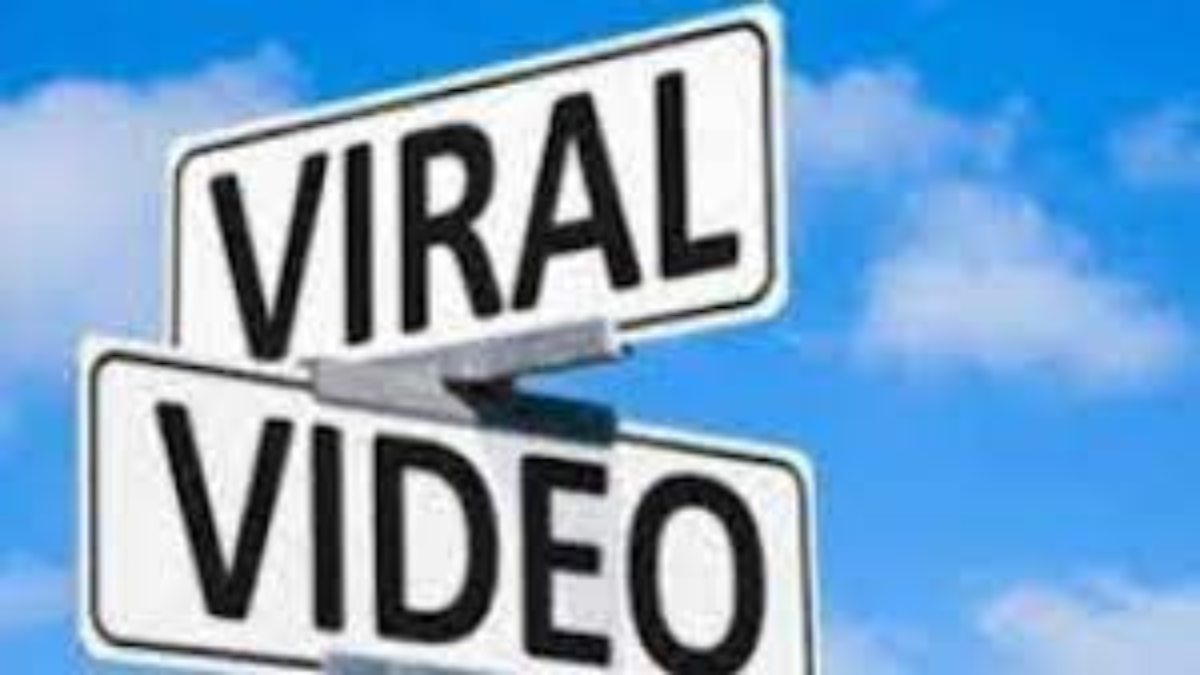 नशेड़ी ने खुद को समझ लिया WWE का रेसलर, फिर जो हुआ उसका वीडियो वायरल….