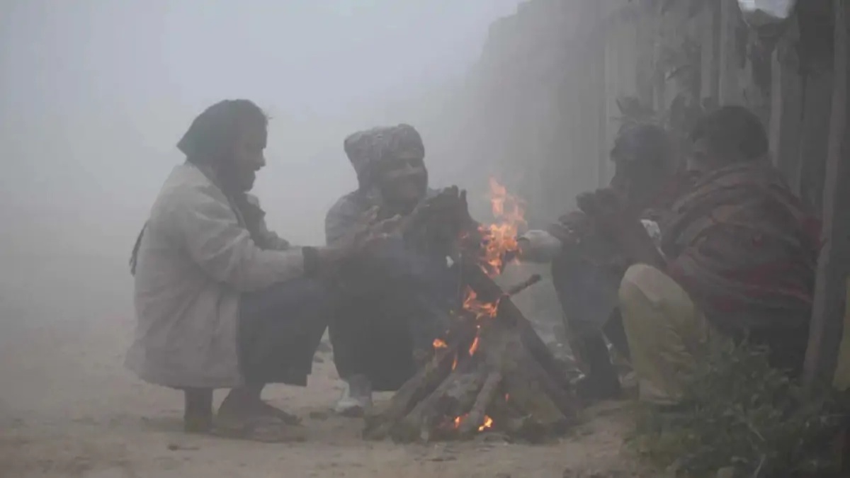 MP में फिर बढ़ेगी ठंड: रात के तापमान में आएगी गिरावट, इन जिलों में छाएगा घना कोहरा
