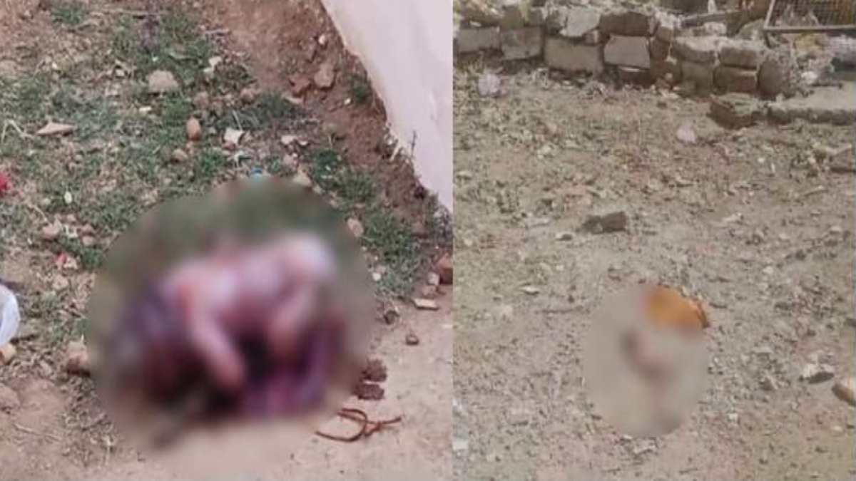 इंसानियत शर्मसार: कटनी और नरसिंहपुर में मिला 2 नवजात शिशुओं का शव, CCTV फुटेज खंगाल रही पुलिस