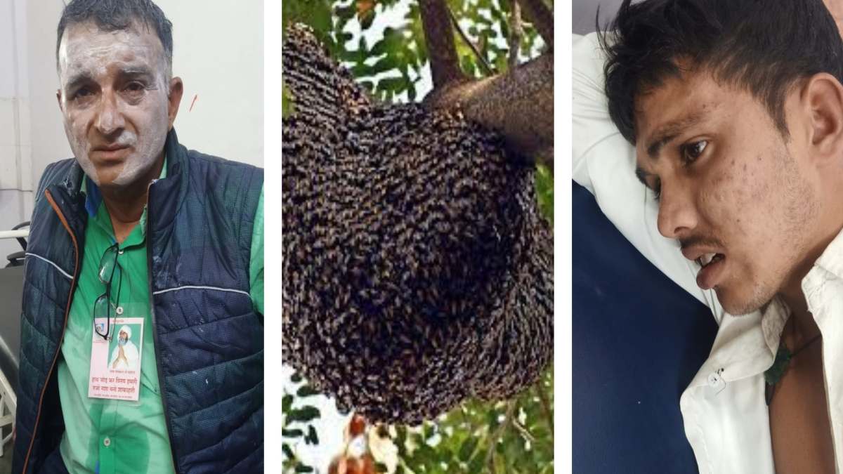 मधुमक्खियों ने शिक्षक समेत 2 छात्रों पर किया हमला: परीक्षा देकर बाहर निकले रहे थे बच्चे, तीनों अस्पताल में भर्ती