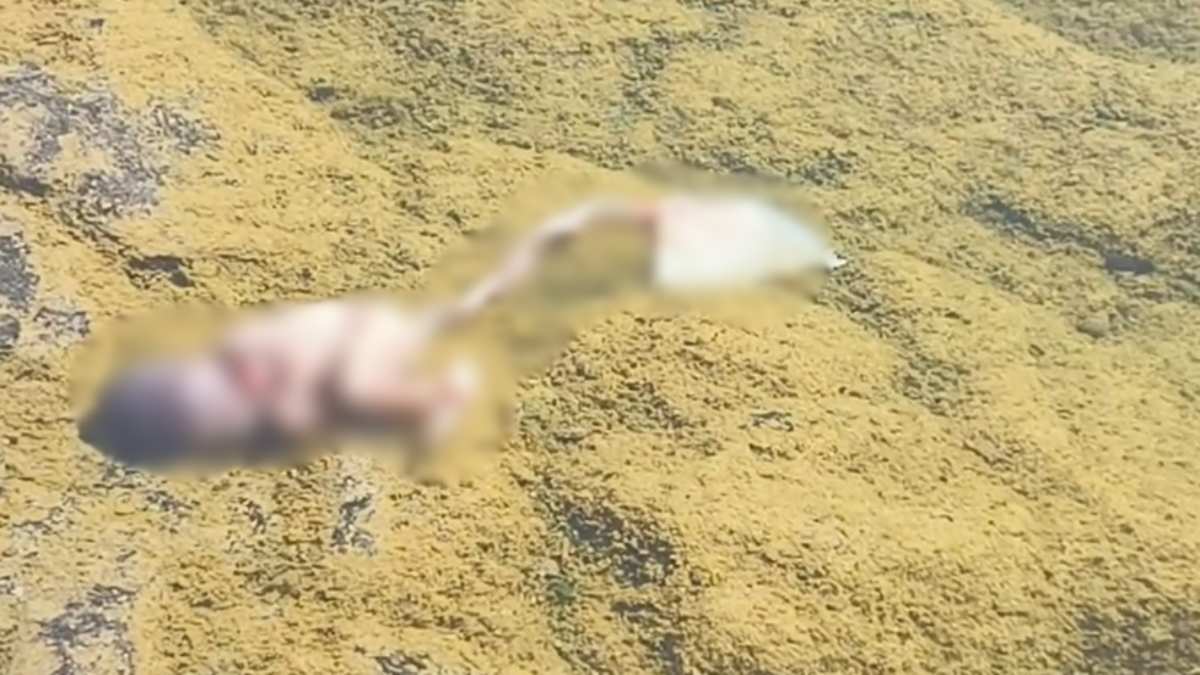 मर गई मां की ममता: नदी किनारे तैरता मिला नवजात का शव, मौके पर लगी ग्रामीणों की भीड़