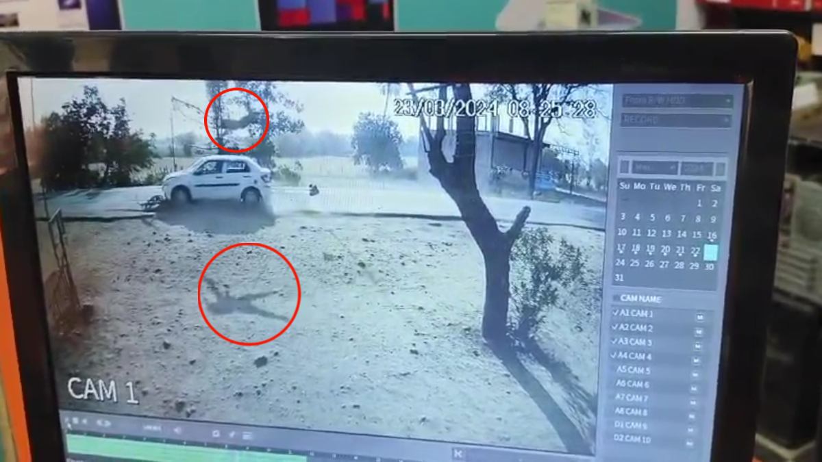 तेज रफ्तार कार ने साइकिल को मारी टक्कर: 10 फीट हवा में उछला युवक, मौके पर तोड़ा दम, CCTV कैद