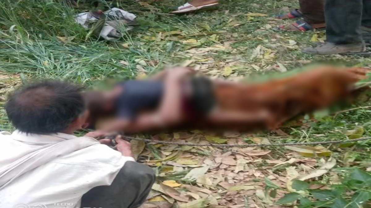 दिल दहला देने वाली घटना: बेटे को सीने से बांधकर मां ने कुएं में लगाई छलांग, घर में पसरा मातम