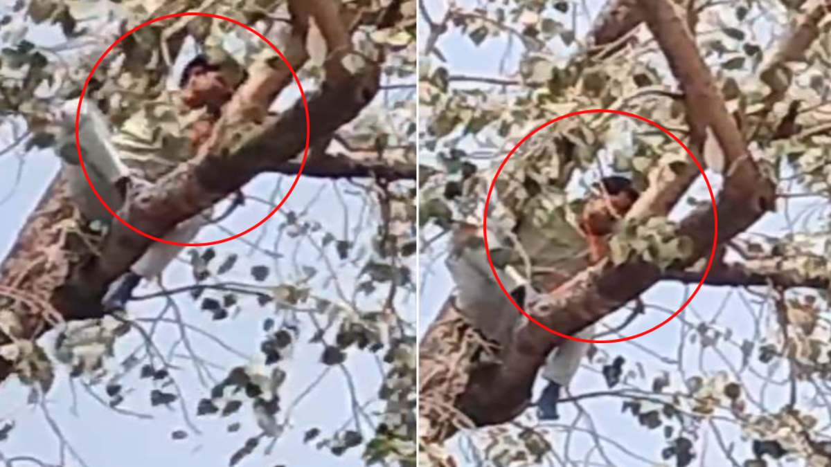 मनमाने दाम पर शराब बेचने का अनोखा विरोध: शराब कारोबारियों के खिलाफ पेड़ पर चढ़ा युवक, VIDEO वायरल