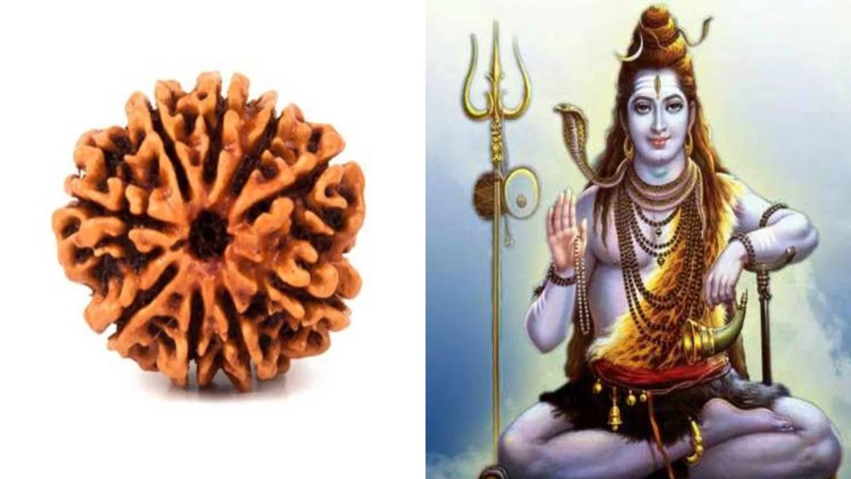Rudraksha Benefits : इस महाशिवरात्रि राशि के अनुसार धारण करें रुद्राक्ष, होंगे अनेकों लाभ…