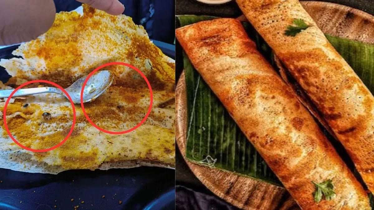 आप भी दिल्ली के कनॉट प्लेस में खाने जाते है डिनर ? यहां रेस्तरां के डोसे में मिले 8 कॉकरोच