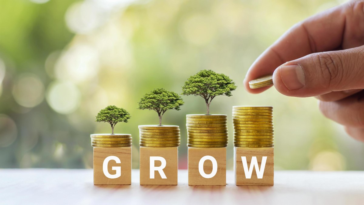 Top 5 Investment Scheme Tips : ये स्कीम्स बना देंगी आपको लखपति, निवेश से पहले पढ़ लीजिए पूरी खबर…