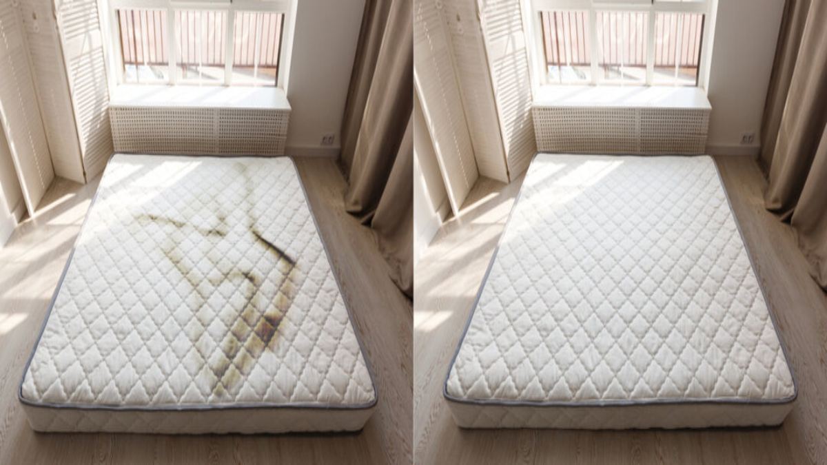 अगर लंबे समय से अपने गद्दे को नहीं किया है साफ? तो इन 5 बीमारियों का बढ़ सकता है खतरा …