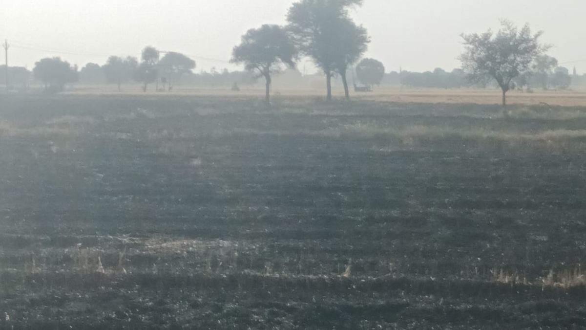 किसानों पर टूटा मुसीबतों का पहाड़: उनके सामने ही खड़ी फसल जलकर हुई राख, सूचना के बाद भी नहीं पहुंची फायर ब्रिगेड