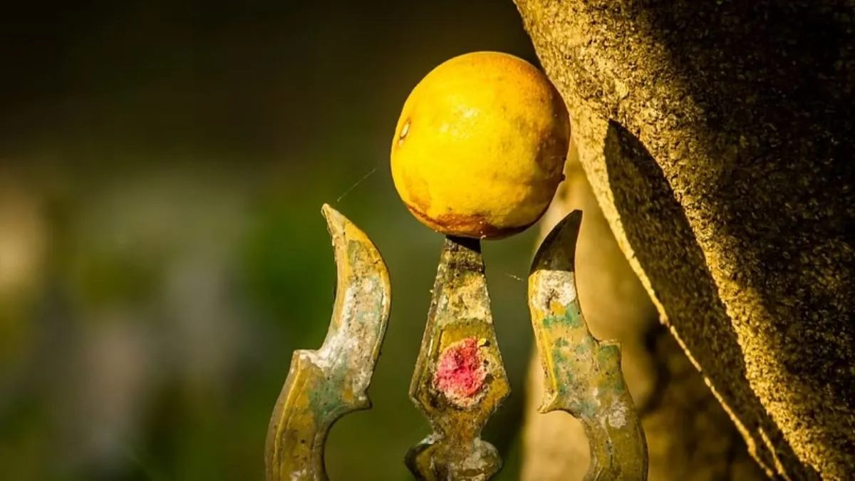 देश के इस मंदिर में हर साल होती है नींबू की नीलामी, इस बार 2.36 लाख के पार पहुंची 9 नींबू की बोली…