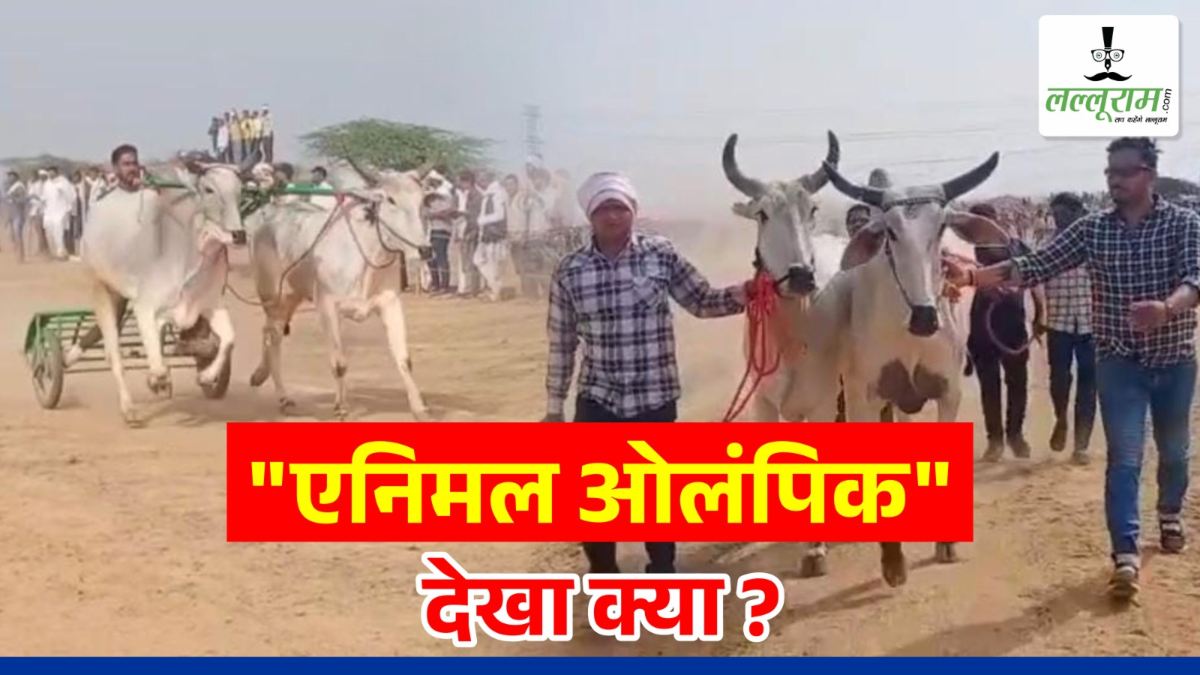 Animal Olympics : क्या आपने देखा है ‘एनिमल ओलंपिक’, नहीं तो पढ़िए अनोखी कहानी और देखिए VIDEO