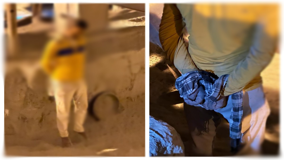 आत्महत्या नहीं ये खून है! फांसी के फंदे पर लटकता मिला युवक, परिवार ने की निष्पक्ष जांच की मांग