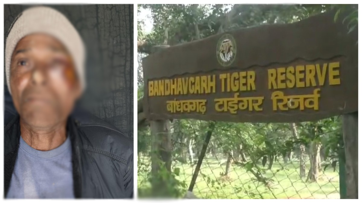 नहीं थम रहा जंगली हाथी का कहर: मचान पर सो रहे बुजुर्ग किसान को उठाकर जमीन पर पटका, अस्पताल में भर्ती