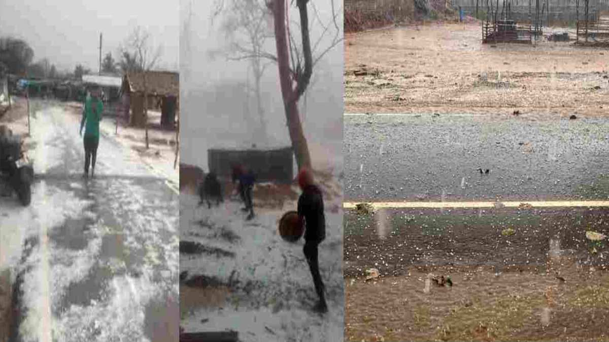 CG NEWS : बारिश के साथ गिरे ओले, बेमौसम बारिश ने किसानों की बढ़ाई चिंता, देखें ओलावृष्टि का Video