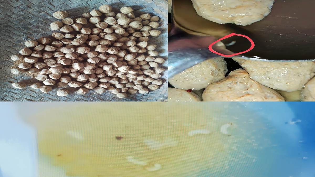 ये खिलवाड़ नहीं तो और क्या है ? बच्चों को परोसी जाने वाली सोयाबीन बड़ी में निकले कीड़े और घुन, 285 स्कूलों में हो रही सप्लाई, लगभग सभी जगह यही हाल