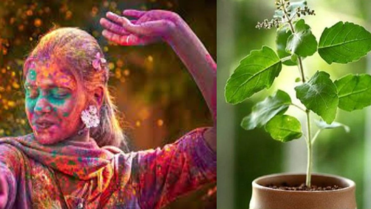 होली के दिन करें तुलसी से जुड़े ये टोटके, होगा साल भर फायदा