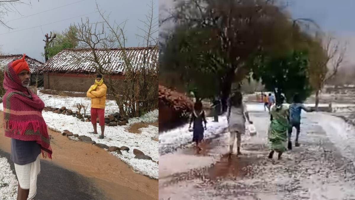 ये शिमला नहीं मध्यप्रदेश है: खेतों और सड़कों ने ओढ़ी सफेद चादर, वीडियो देख रह जाएंगे दंग