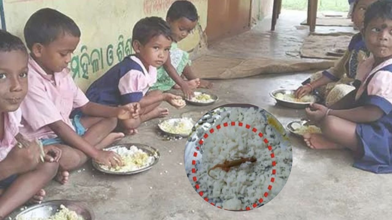 ओडिशा के भद्रक में मिड-डे मील में छिपकली मिलने से 25 स्कूली छात्र बीमार