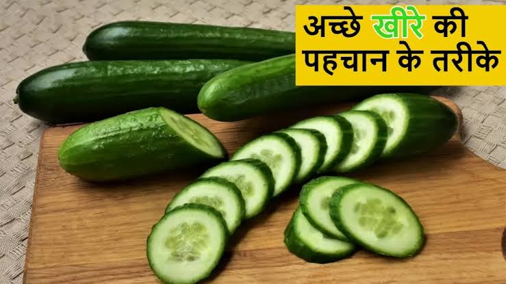गर्मियों में खूब फायदेमंद होता है खीरा, इसे खरीदते समय इस तरह से जाने की ये सही है या नहीं