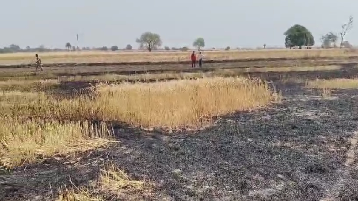 खड़ी फसल में लगी भीषण आग: समय पर नहीं पहुंची फायर ब्रिगेड, लाखों का नुकसान   