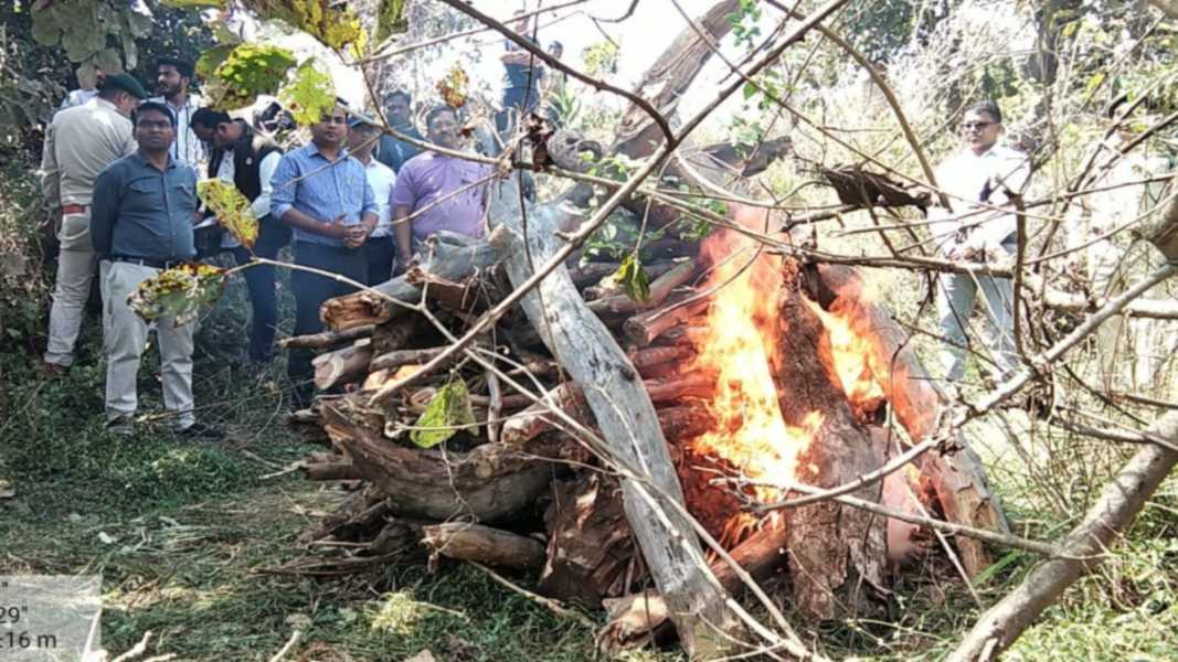 आपसी संघर्ष से तेंदुए की मौत: बदलापार के पास मिला था शव, वन विभाग ने पीएम के बाद किया अंतिम संस्कार