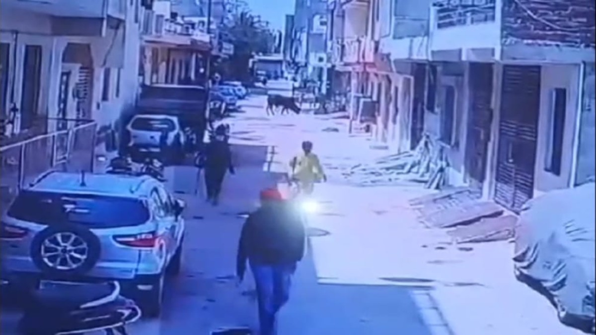 HOLI के जश्न में चली गोली: दोस्तों के साथ होली खेल रहे युवक पर बदमाशों ने की फायरिंग, घर के अंदर भाग कर बचाई जान