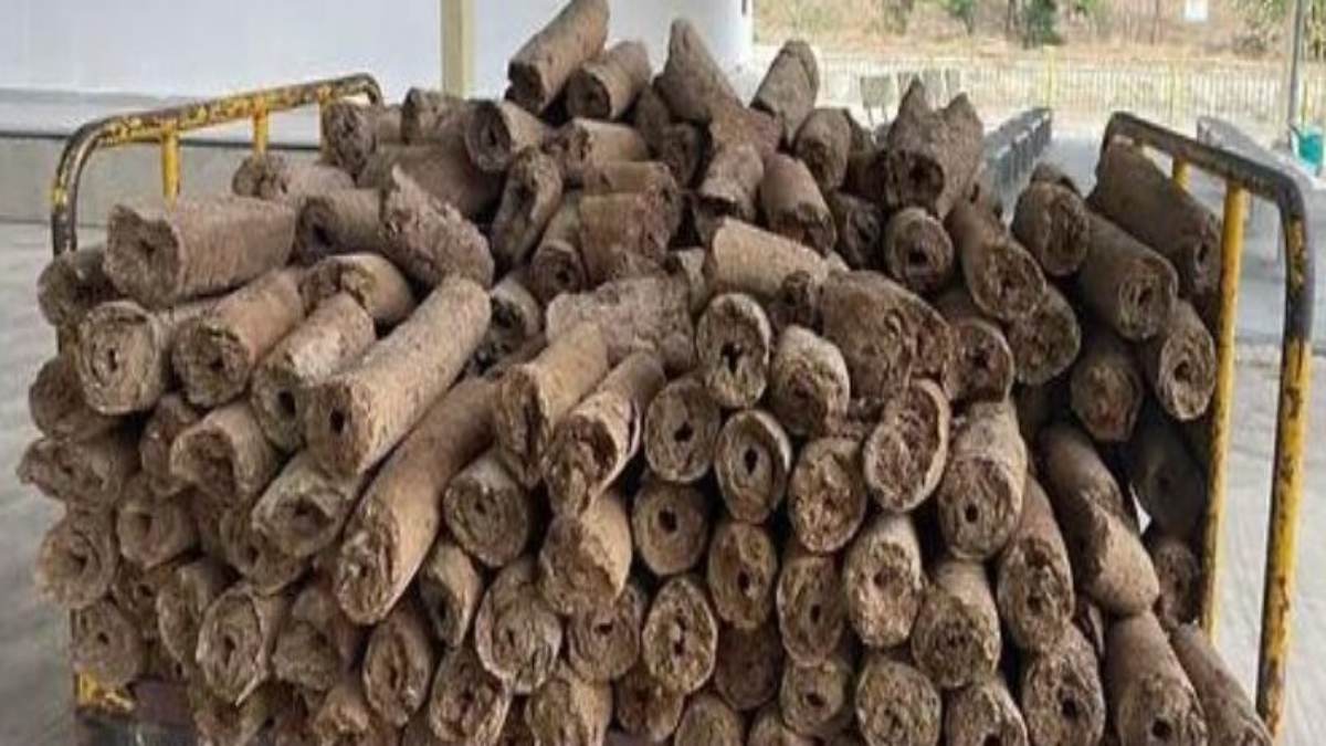 होली में पर्यावरण संरक्षण की पहल, अब तक 7 हजार क्विटंल गोकाष्ठ का संग्रहण
