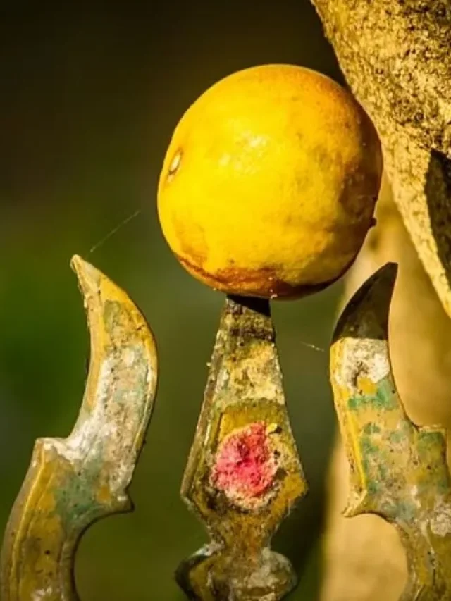 हे भगवान! मंदिर के 9 नींबू की कीमत 2 लाख से भी ज्यादा, आखिर ऐसा क्या है इसमें?
