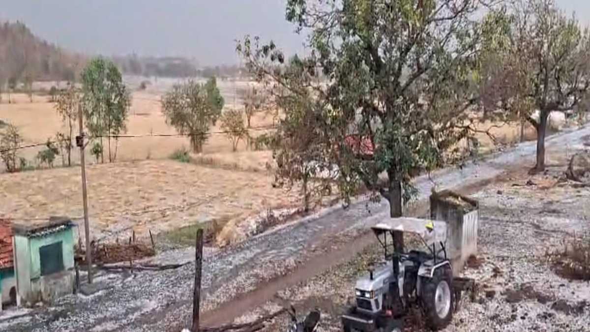 MP के कई जिलों में भारी बारिश और ओलावृष्टि: गेंहू और चने की फसल को भारी नुकसान, मकानों के छत टूटे