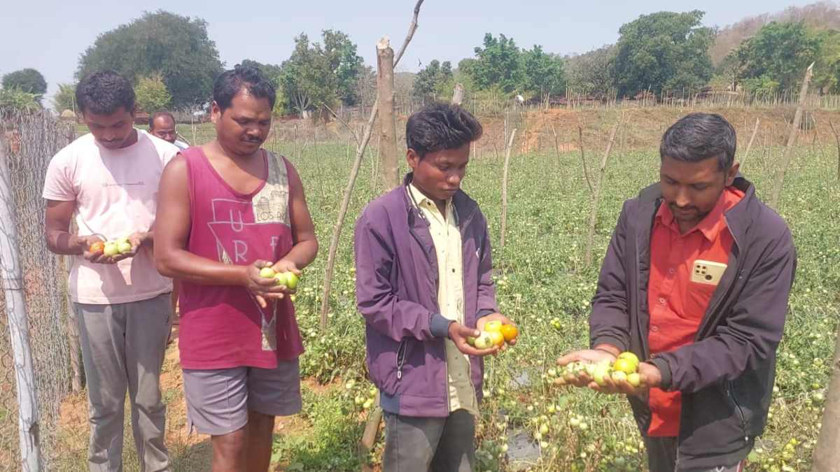 बेमौसम बारिश ने बढ़ाई अन्नदाताओं की चिंता, साग-सब्जी समेत फलोद्यान को हुआ भारी नुकसान, किसानों ने की मुआवजे की मांग