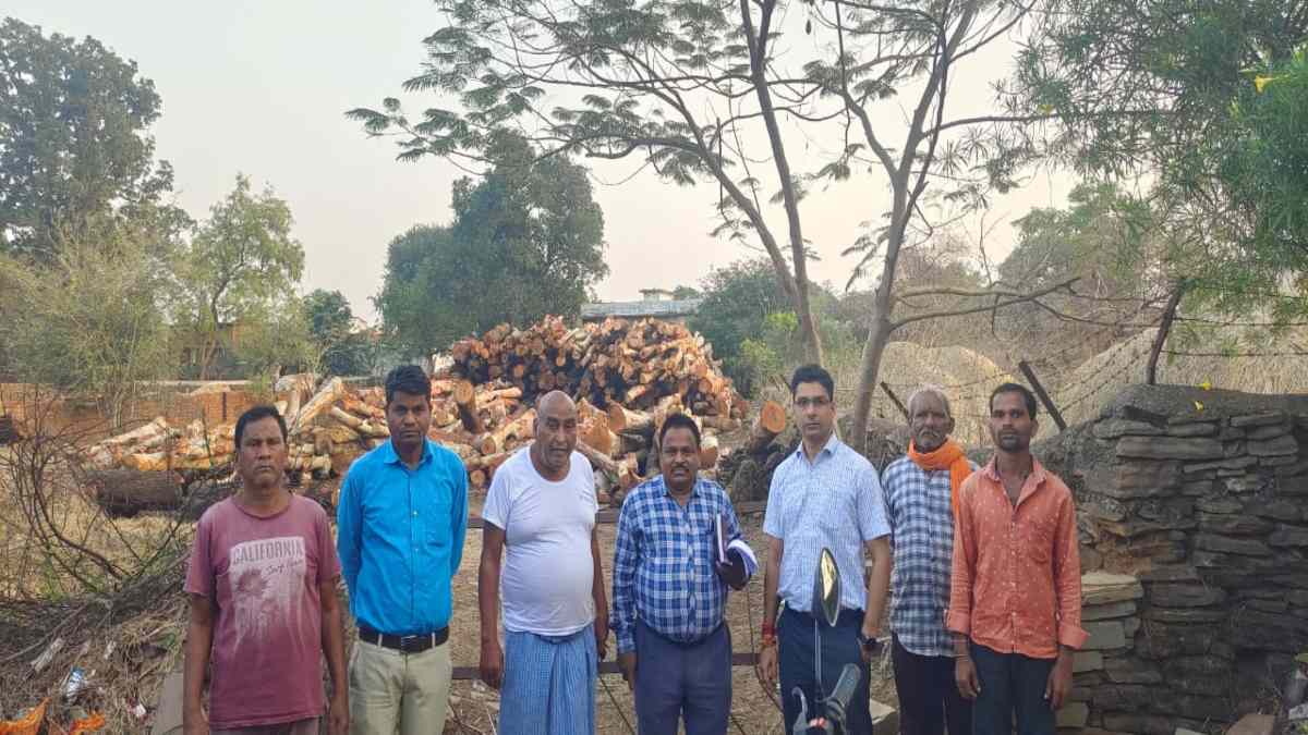 अवैध लकड़ी के भंडारण पर कार्रवाई, तहसीलदार ने पेड़ों के गोले जब्त कर वन विभाग को किया सुपुर्द