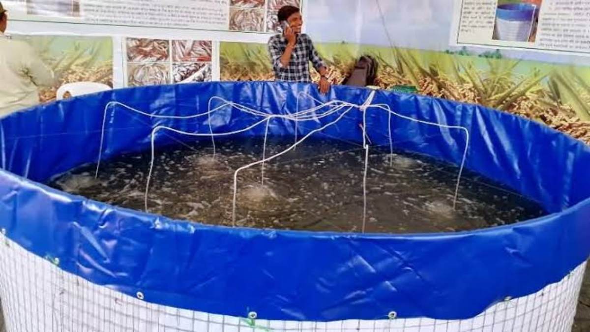 जमीन, तालाब नहीं है तो भी कर सकते हैं मछली पालन, सरकार देगी 60 परसेंट तक सब्सिडी …