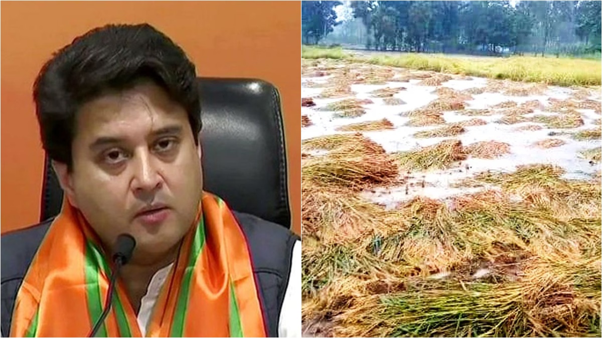 किसानों पर टूटा आसमानी आफत का कहर, सिंधिया ने फसलों का सर्वे कर प्रभावितों को राहत प्रदान करने के दिए निर्देश