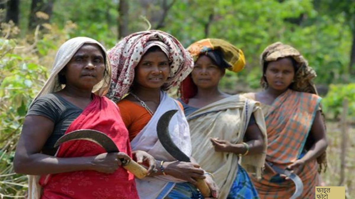 आदिवासी वोट बैंक पर बीजेपी की नजर: अंतिम 3 दिनों में हर घर पहुंचेंगे, विधायक, सांसद समेत पदाधिकारी