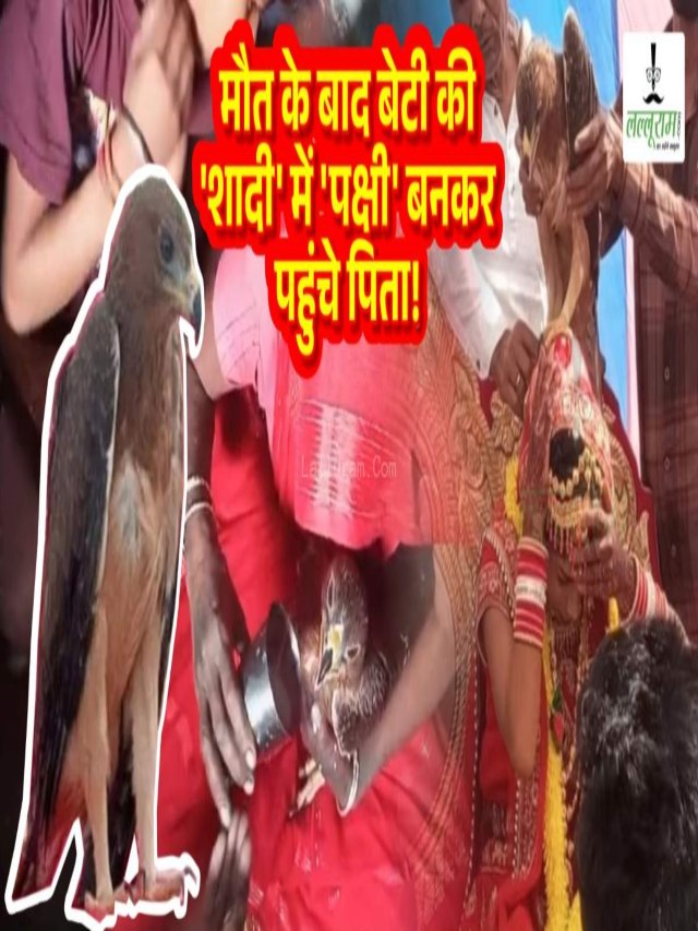 शादी में पक्षी बनकर पहुंची पिता की आत्मा !