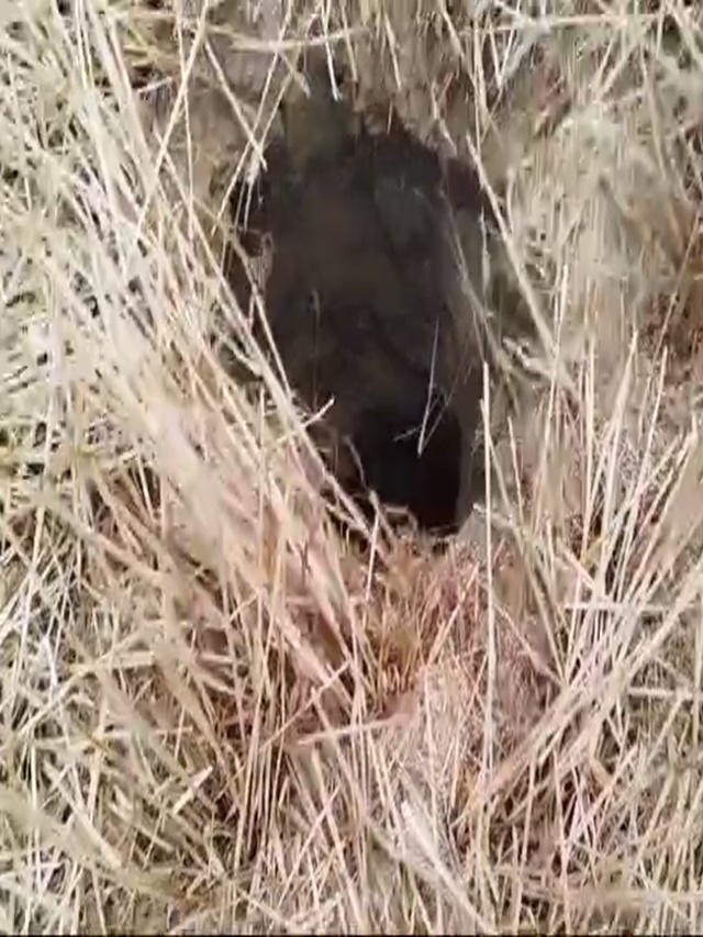 MP में खुले बोरवेल में गिरा 6 साल का मासूम