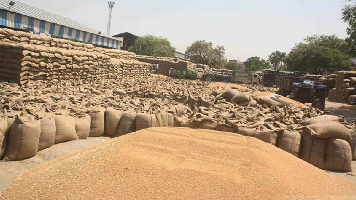 गेहूं खरीदी में धांधली: पोर्टल पर 2489 क्विंटल दर्ज, मौके पर मिला 6743 क्विंटल गेहूं, 5 लोगों के खिलाफ मामला दर्ज