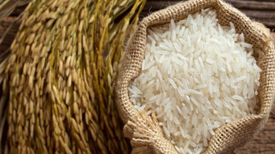 ईरान-इस्राइल में टेंशन से सस्ते हुए बासमती राईस
