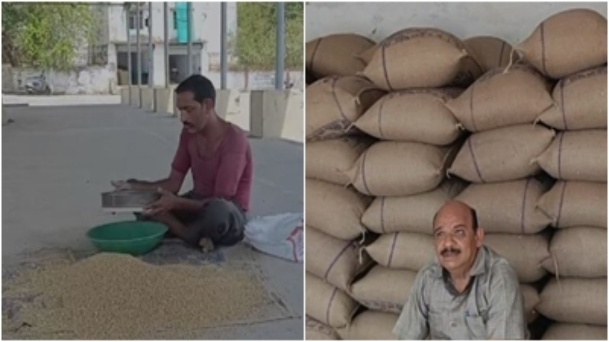 बंद होने की कगार पर सरकारी खरीदी केंद्र: किसानों को नहीं मिल रहा गेहूं और चने का सही दाम, मंडी में बेचने को मजबूर