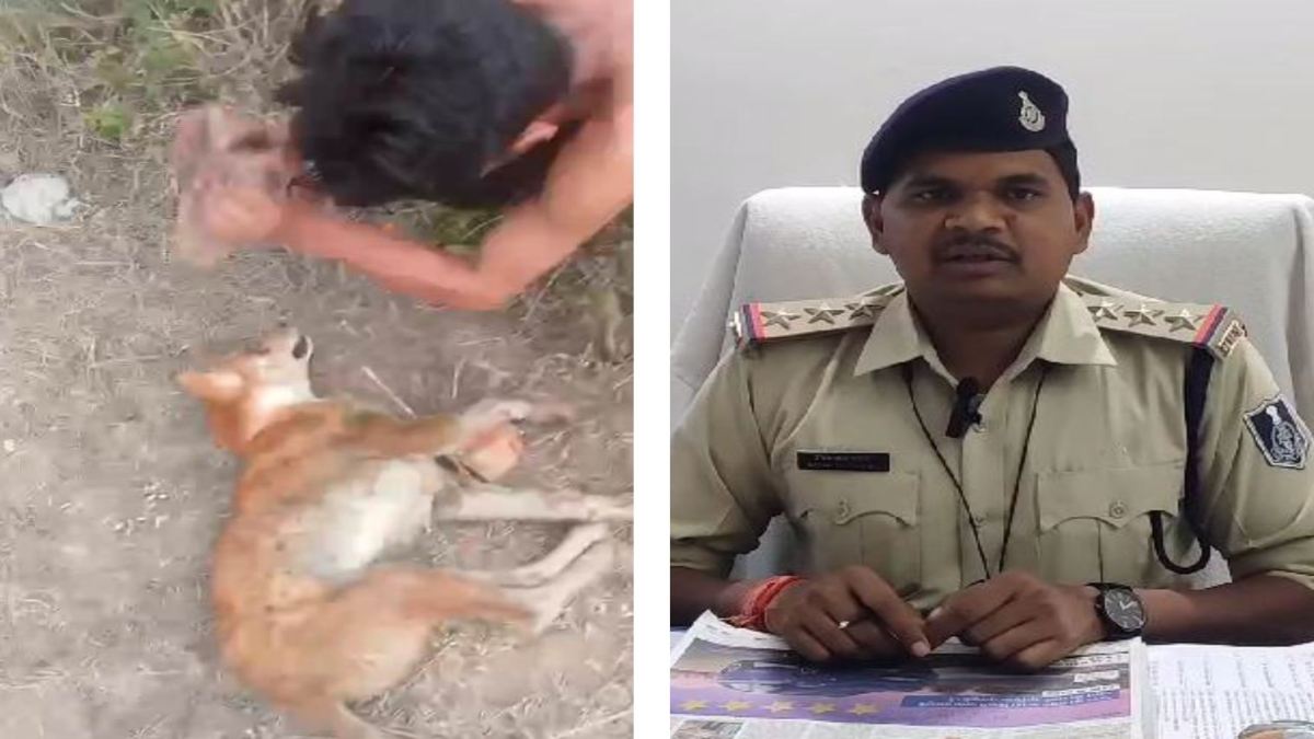 स्ट्रीट डॉग को पत्थर से कुचलने का मामला: अज्ञात युवकों के खिलाफ अपराध दर्ज, पशु प्रेमियों ने की सख्त कार्रवाई की मांग