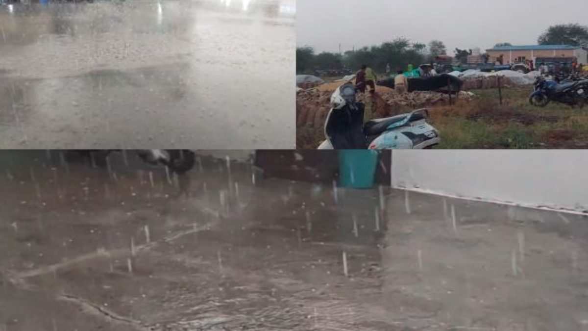 बेमौसम बारिश से भीग रहे गेहूं को बचाने अलर्ट मोड पर सरकार: एक्स्ट्रा ट्रक लगाकर फसल गोदाम में रखवाने, एक ही दिन में खरीदी करने के निर्देश