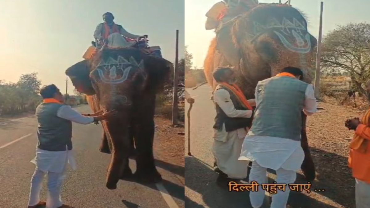 ‘प्रभु! दिल्ली पहुंचा दो’… BJP प्रत्याशी को गजराज का सहारा, राह चलते हाथी से मांगा संसद पहुंचने का आशीर्वाद