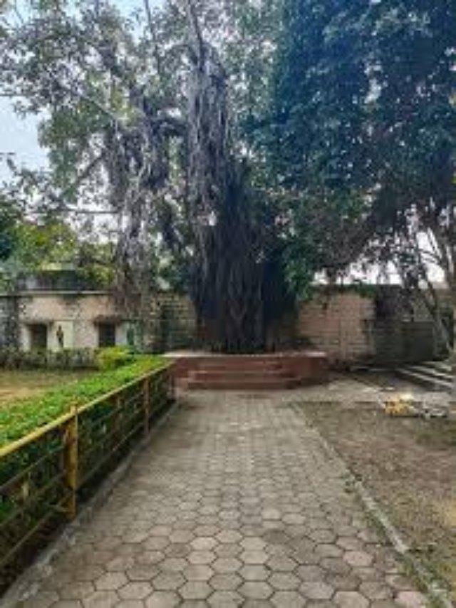 जानिए इस बरगद के पेड़ को ‘जल्लाद’ क्यों कहा जाता है ?