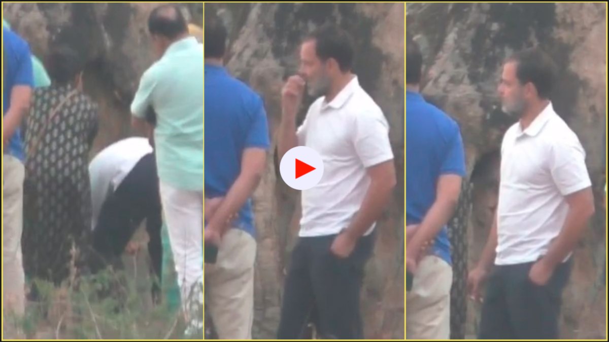 राहुल गांधी का एक अंदाज ऐसा भी: उमरिया में महिलाओं के साथ जंगल में बीना महुआ, चखा स्वाद, वीडियो आया सामने