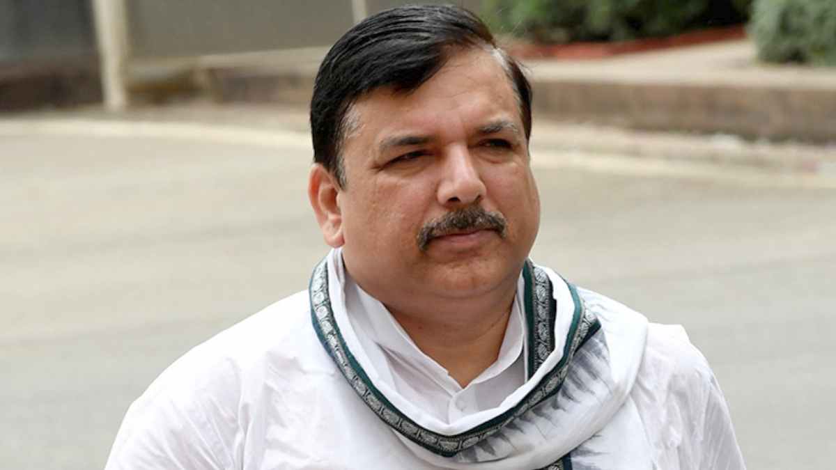 6 महीने बाद तिहाड़ जेल से रिहा हुए संजय सिंह, कहा – आंदोलन की कोख से हुआ AAP का जन्म, किसी से डरने वाले नहीं