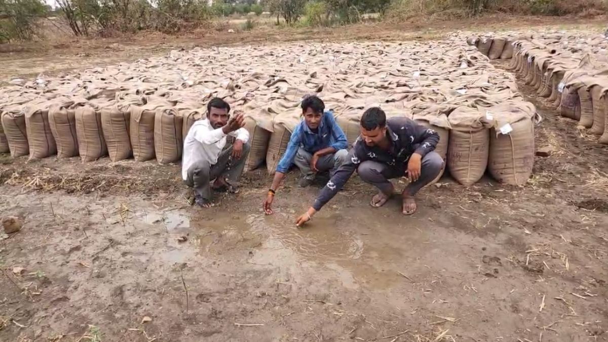 बेमौसम बारिश से गेंहू की सैकड़ों बोरियां भींगी, सोसायटी के अधिकारियों की लापरवाही से किसान परेशान