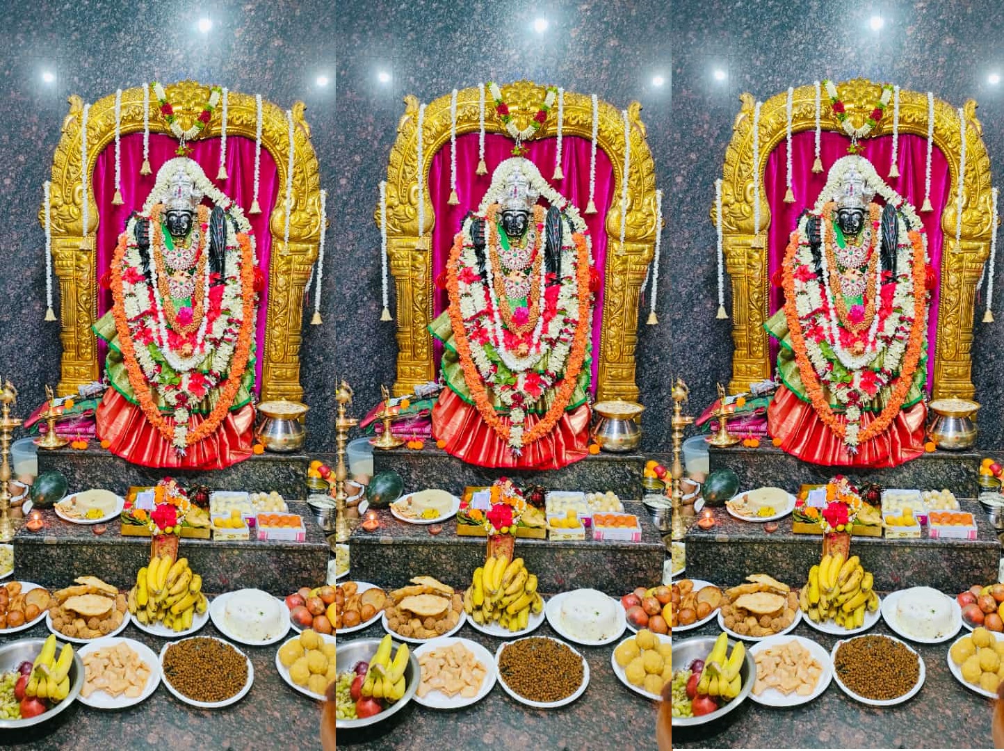 Raipur News: रायपुर किया गया 2 करोड़ 11 लाख 80 हजार Sri Lalitha Sahasranamam पारायण