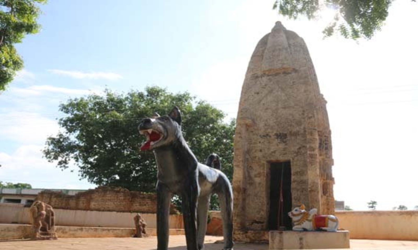 Chhattisgarh News: यहां नवरात्र में होती है कुकुर देव की पूजा, लगता है मेला… मान्यता है कि नारियल चढ़ाने से ठीक होती ‘कुकुर खांसी’