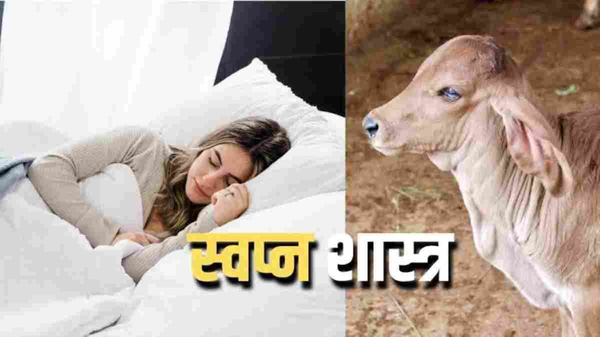सपने में नजर आए गौ माता तो जाने किस ओर है इसका संकेत…