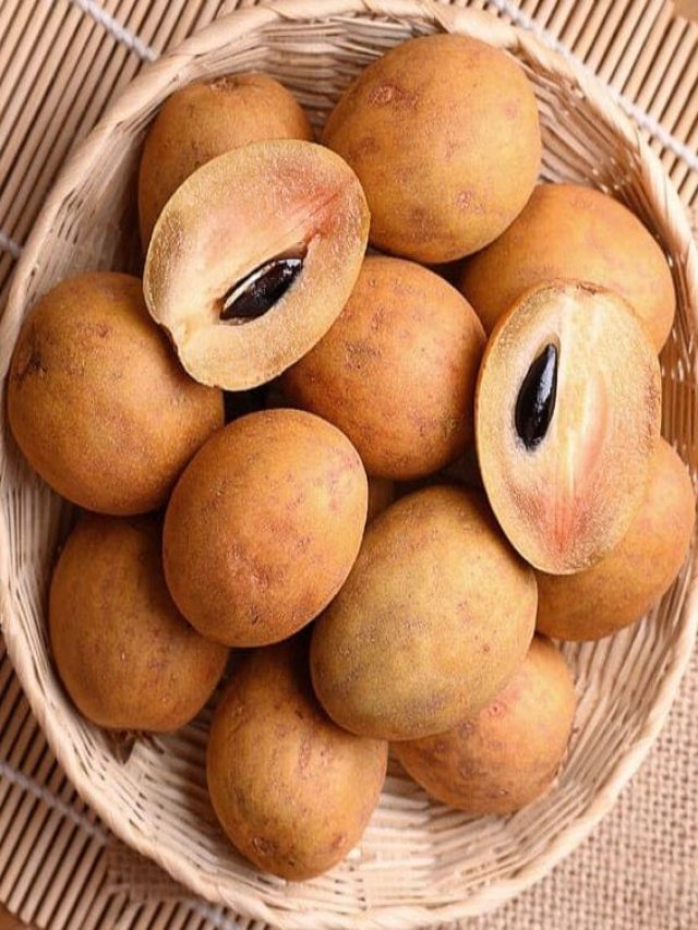 डेली चीकू खाने से मिलते हैं कई फायदे, वेट लॉस से लेकर BP तक करता है कंट्रोल …